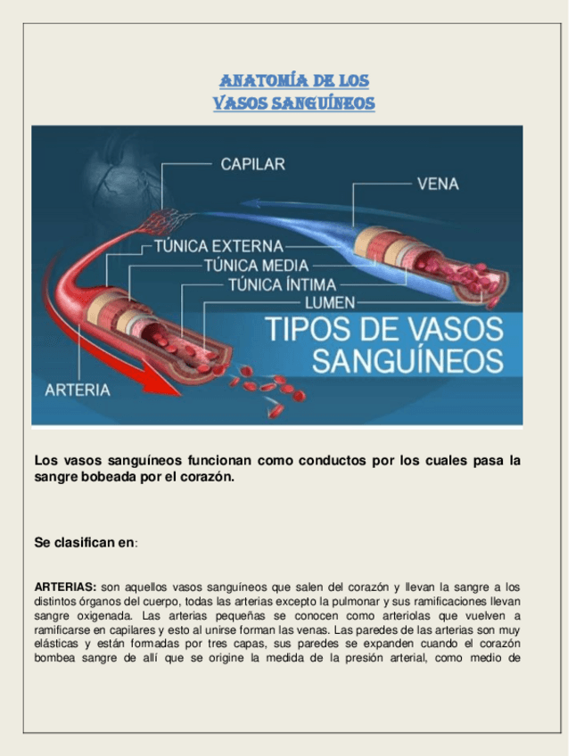 Miniatura del documento Sistema-CARDIOVASCULAR.pdf