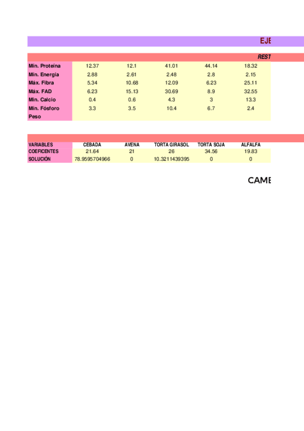 Miniatura del documento PROGRAMACION-LINEAL-SOBRE-100Kg.xls