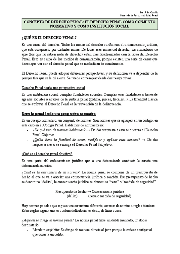 Miniatura del documento Bases-responsabilidad-penal Parcial 1.pdf