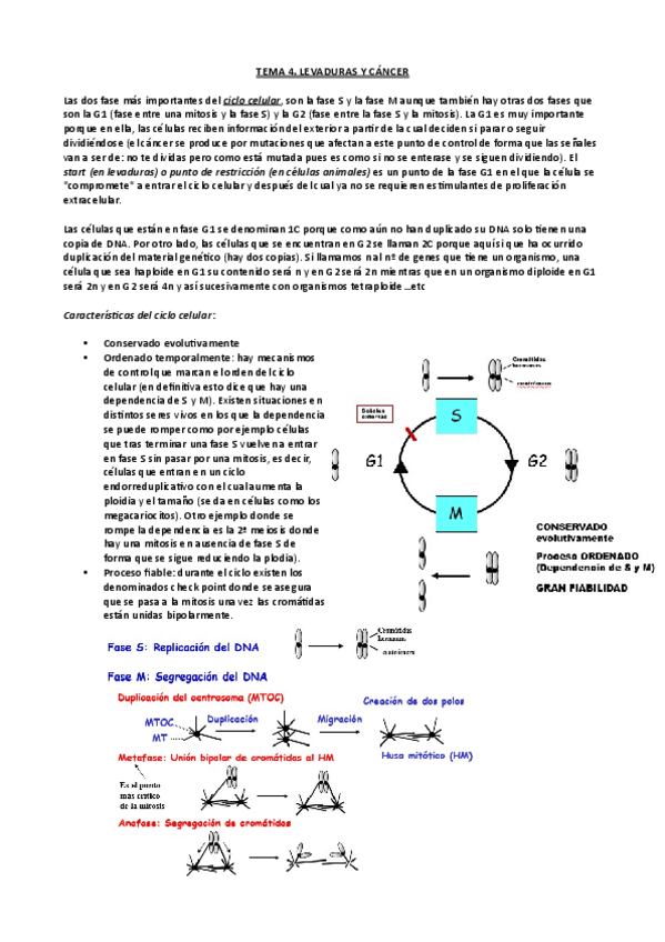 Miniatura del documento Tema-4-Ampli-micro.pdf