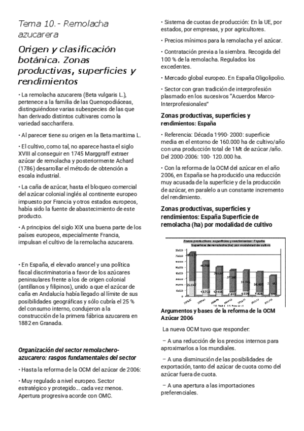 Miniatura del documento remolachaapuntes.pdf