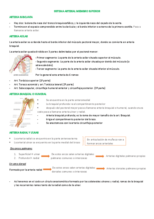 Miniatura del documento 3.pdf