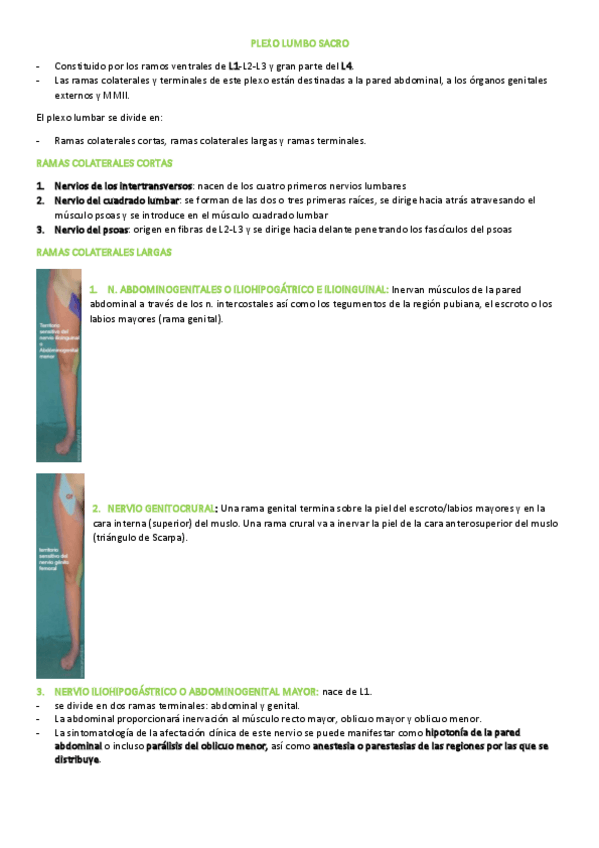 Miniatura del documento 12.pdf