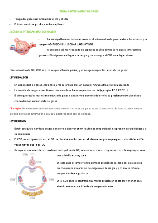 Miniatura del documento 2.pdf
