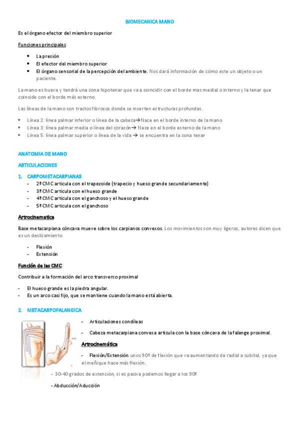 Miniatura del documento BIOMECANICA-MANO.pdf