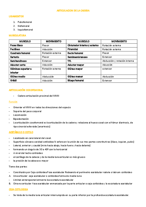 Miniatura del documento ARTICULACION-DE-LA-CADERA.pdf