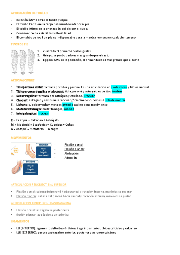 Miniatura del documento ARTICULACION-DE-TOBILLO.pdf