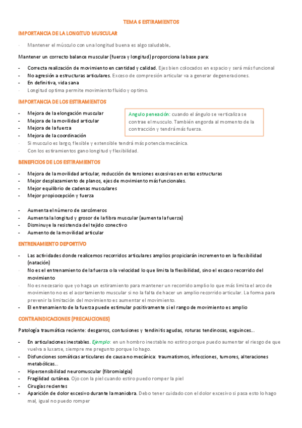 Miniatura del documento TEMA-6-ESTIRAMIENTOS.pdf