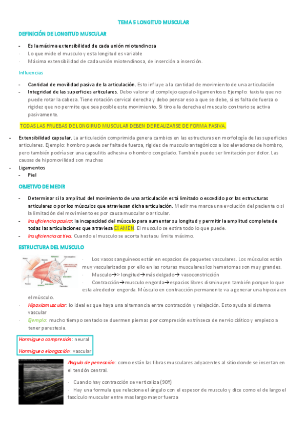 Miniatura del documento TEMA-5-LONGITUD-MUSCULAR.pdf