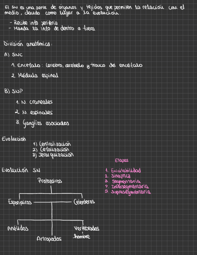 Miniatura del documento Resumen-.pdf