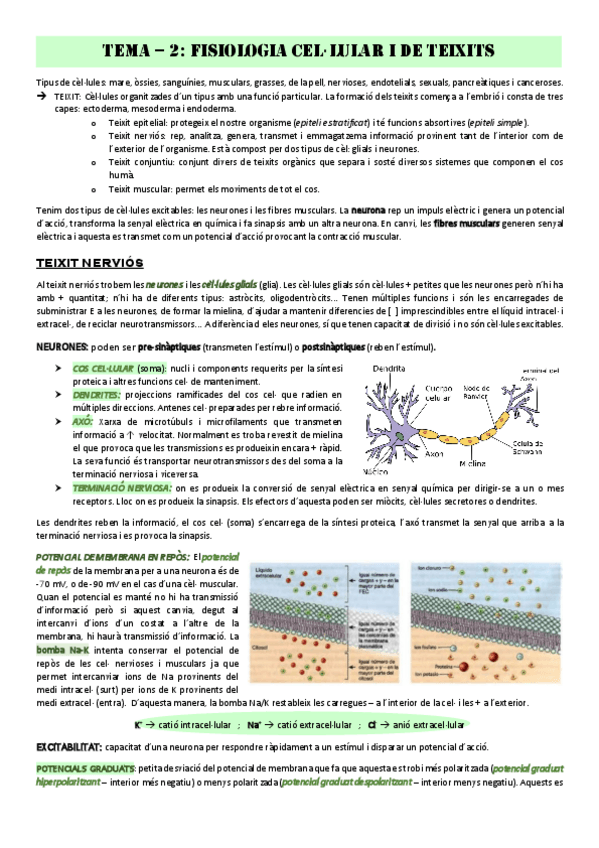 Miniatura del documento Tema-2.pdf