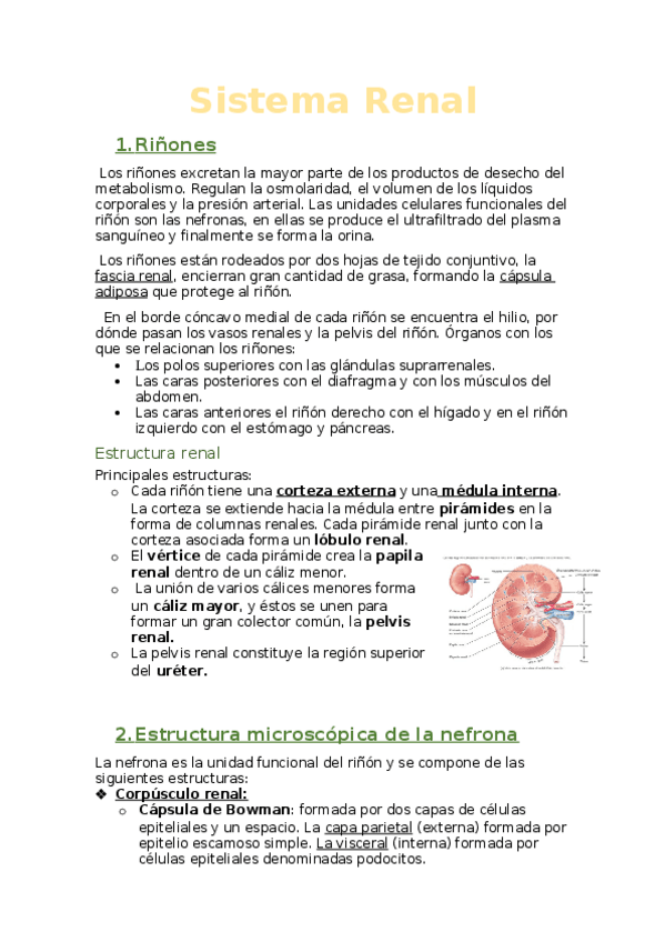 Miniatura del documento 3.docx