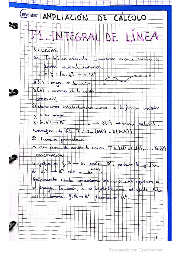 Miniatura del documento Integral-de-linea.pdf