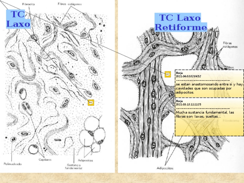 Miniatura del documento 4-imagenes-tema-9-y-10.pdf