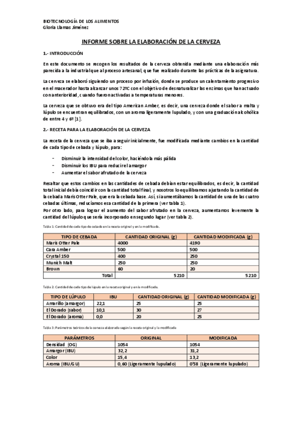 Miniatura del documento INFORME-CERVEZA.pdf