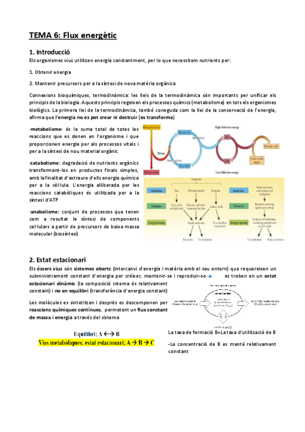 Miniatura del documento Tema-6.pdf