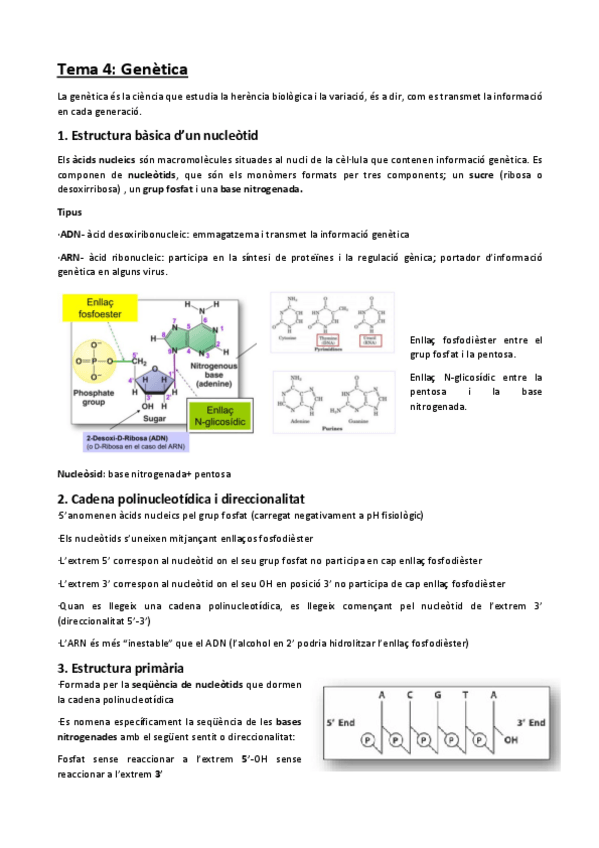 Miniatura del documento Tema-4.pdf
