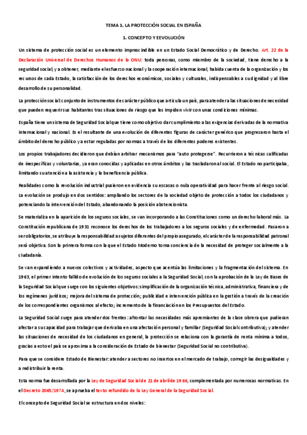 Miniatura del documento tema-1-proteccion-social.pdf