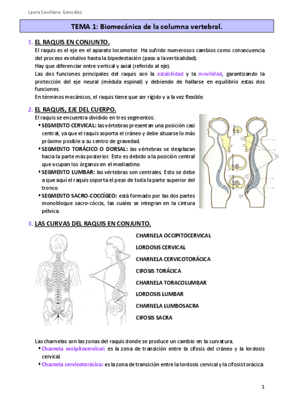 Miniatura del documento Tema-1-BIOMECANICA.pdf