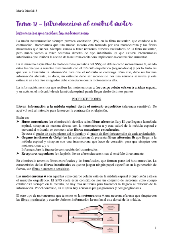 Miniatura del documento t12.pdf