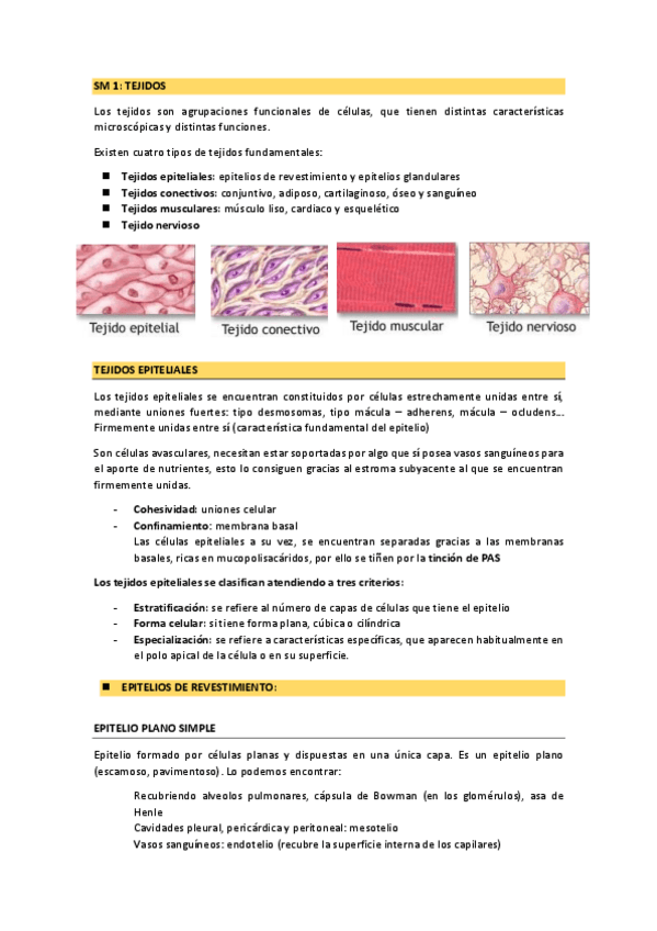Miniatura del documento SM1-y-SM2-anatomia-patologica.pdf