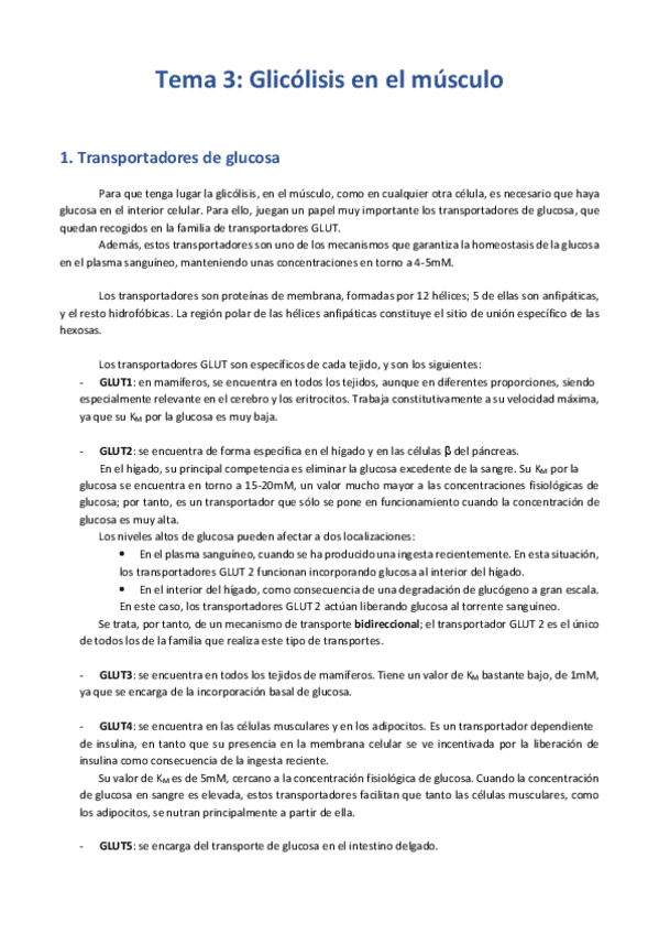 Miniatura del documento Tema 3 - Glicólisis en el músculo.pdf