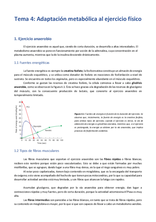 Miniatura del documento Tema 4 - Adaptación metabólica al ejercicio físico.pdf