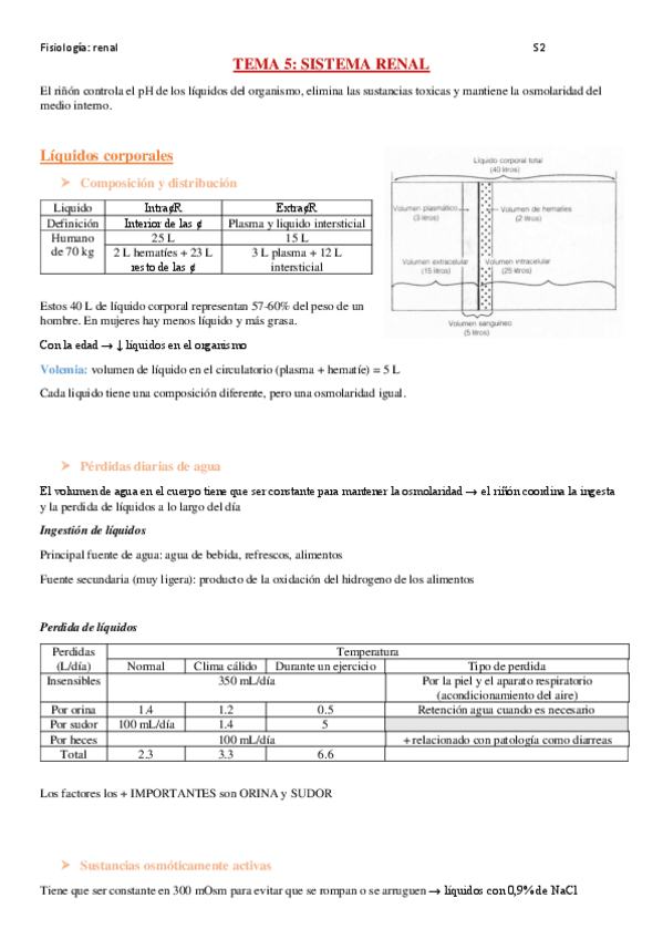 Miniatura del documento fisio-renal-.pdf