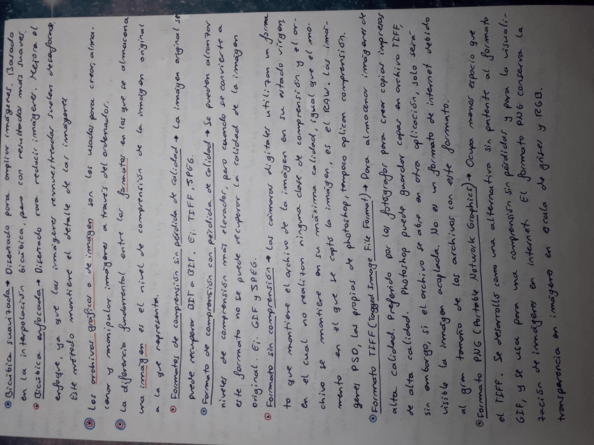 Miniatura del documento 3.jpg