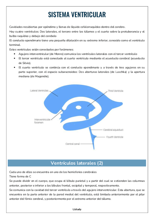 Miniatura del documento SISTEMA-VENTRICULAR.pdf