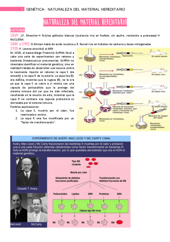 Miniatura del documento Tema-5.pdf