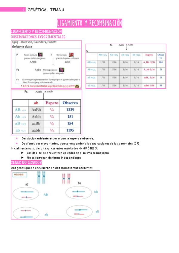 Miniatura del documento Tema-4.pdf