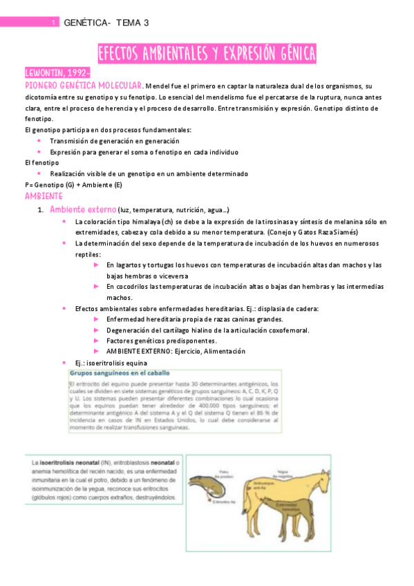 Miniatura del documento Tema-3.pdf