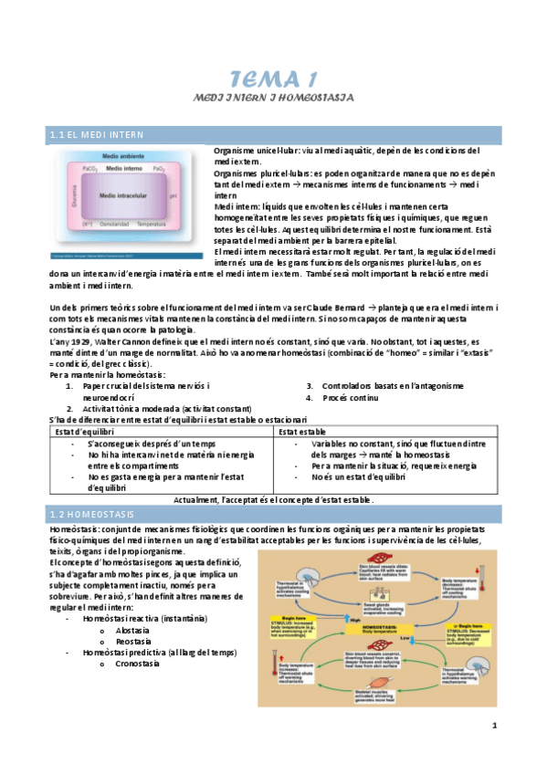 Miniatura del documento Tema-1-medi-intern-i-homeostasis.pdf