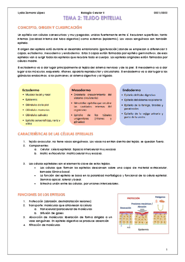 Miniatura del documento Tema-2-Tejido-epitelial.pdf