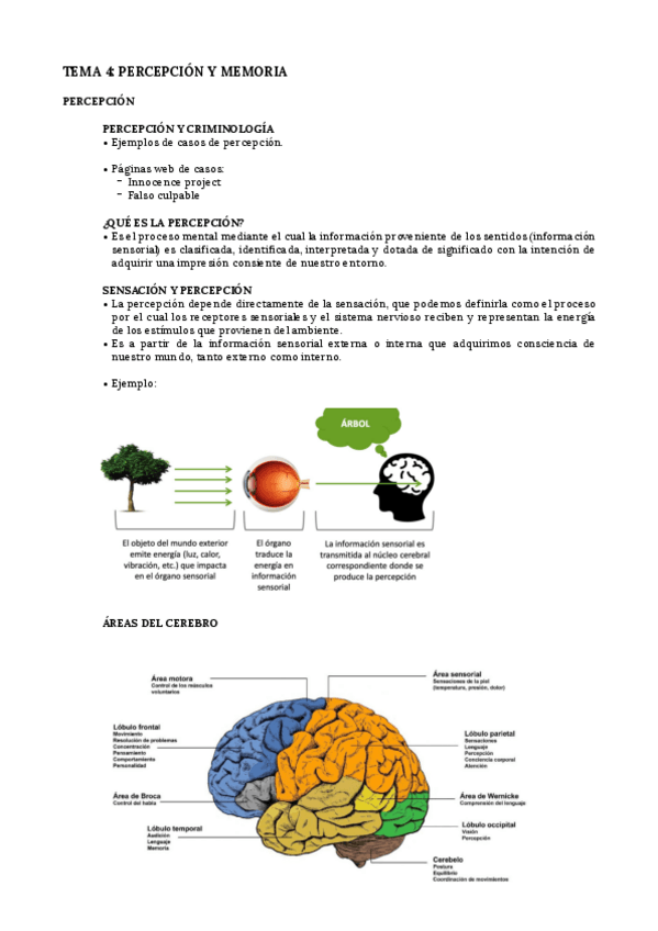 Miniatura del documento Tema-4.pdf