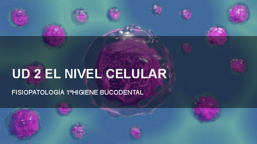Miniatura del documento UD-2-EL-NIVEL-CELULAR.pdf