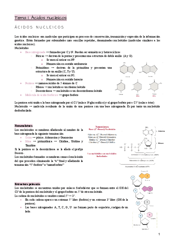 Miniatura del documento Tema-1.pdf