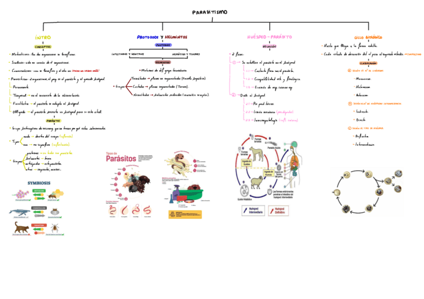 Miniatura del documento T1-Parasitismo.pdf