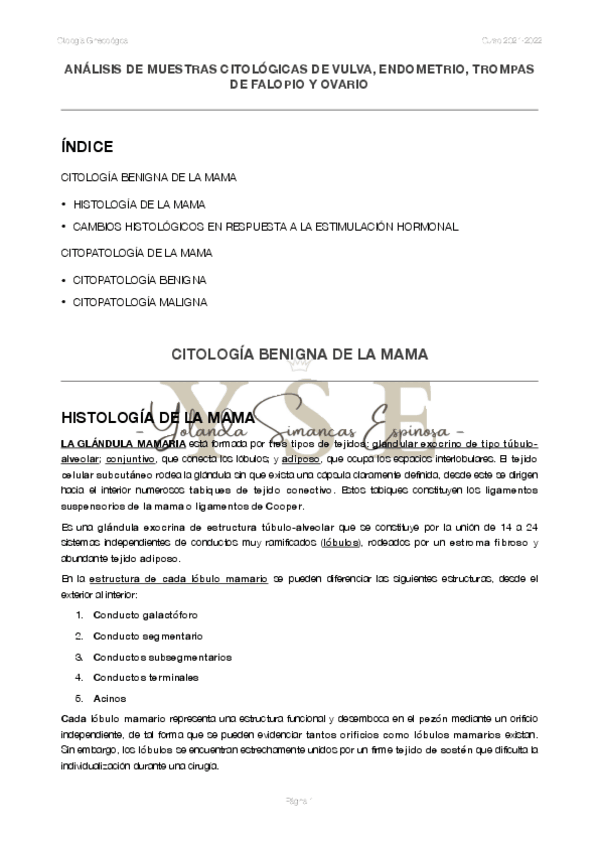 Miniatura del documento Tema-7.pdf