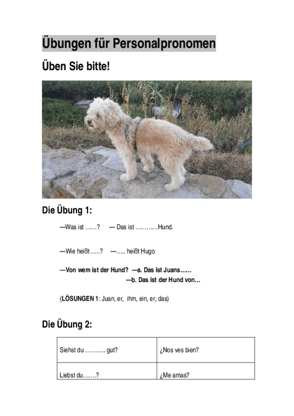 Miniatura del documento LEKTION 3 Pronomen (2) ÜBUNGEN.docx