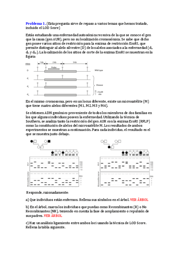 Miniatura del documento Problemas extra LOD score_soluciones.pdf