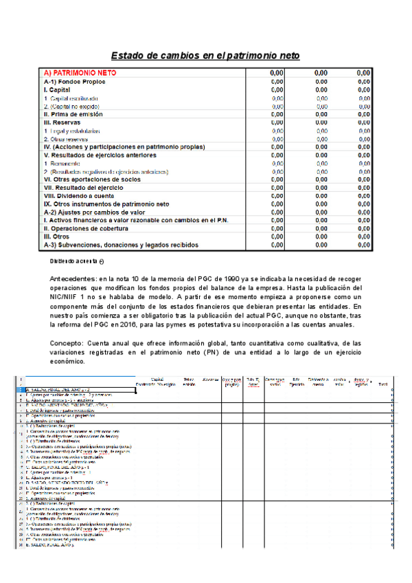 Miniatura del documento Estado-de-cambios-en-el-patrimonio-neto.pdf