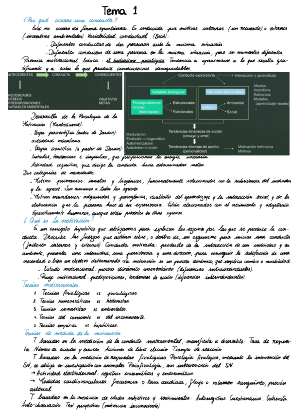 Miniatura del documento Motivacion-Y-Emocion-.pdf