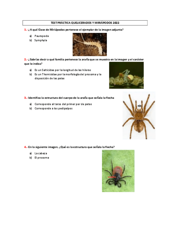 Miniatura del documento TEST-PRACTICA-QUELICERADOS-Y-MIRIAPODOS-2022.pdf