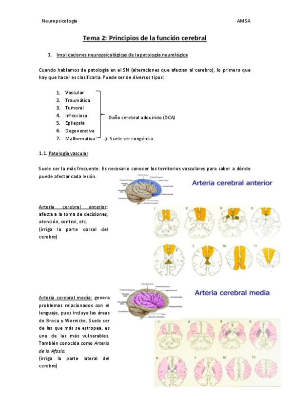 Miniatura del documento Neuropsicologia-T2.pdf