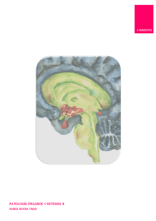 Miniatura del documento Patologia-endocrina-Maria-Rivera.pdf