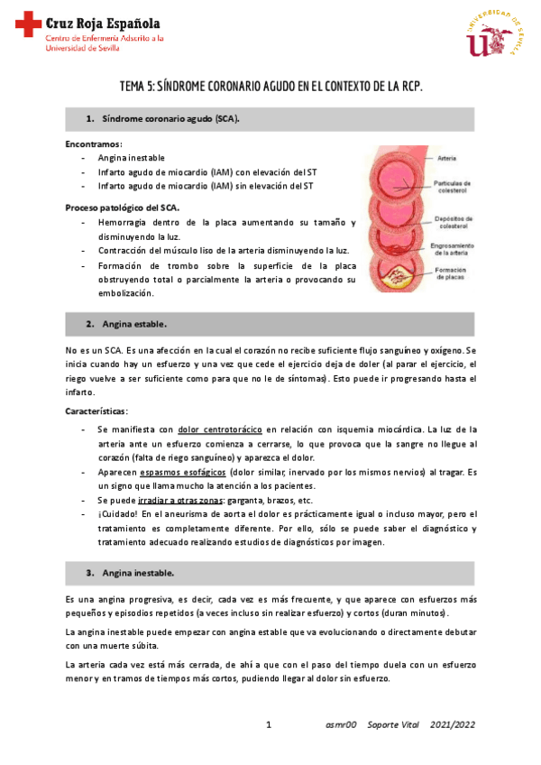 Miniatura del documento T5-Soporte-1.pdf