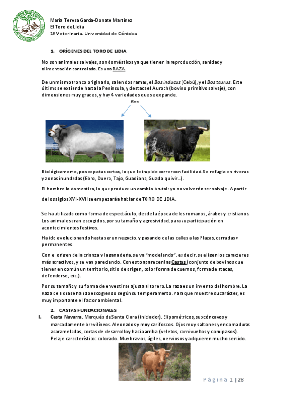Miniatura del documento APUNTES-TORO-BRAVO.pdf