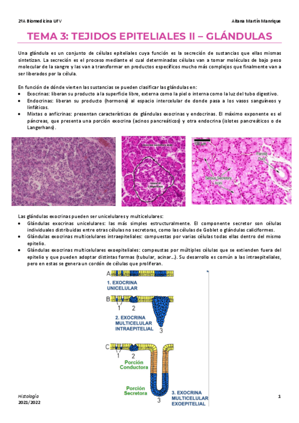 Miniatura del documento 3 Glándulas